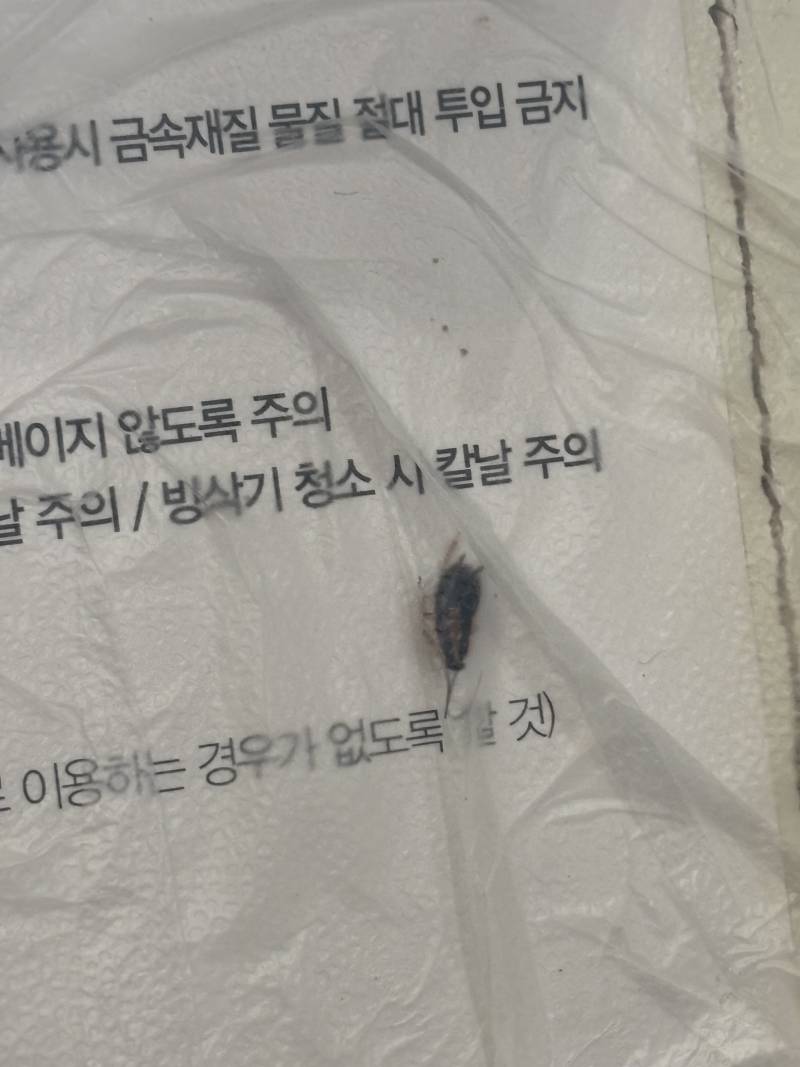 [잡담] 벌레주의 이거 바선생이야? | 인스티즈