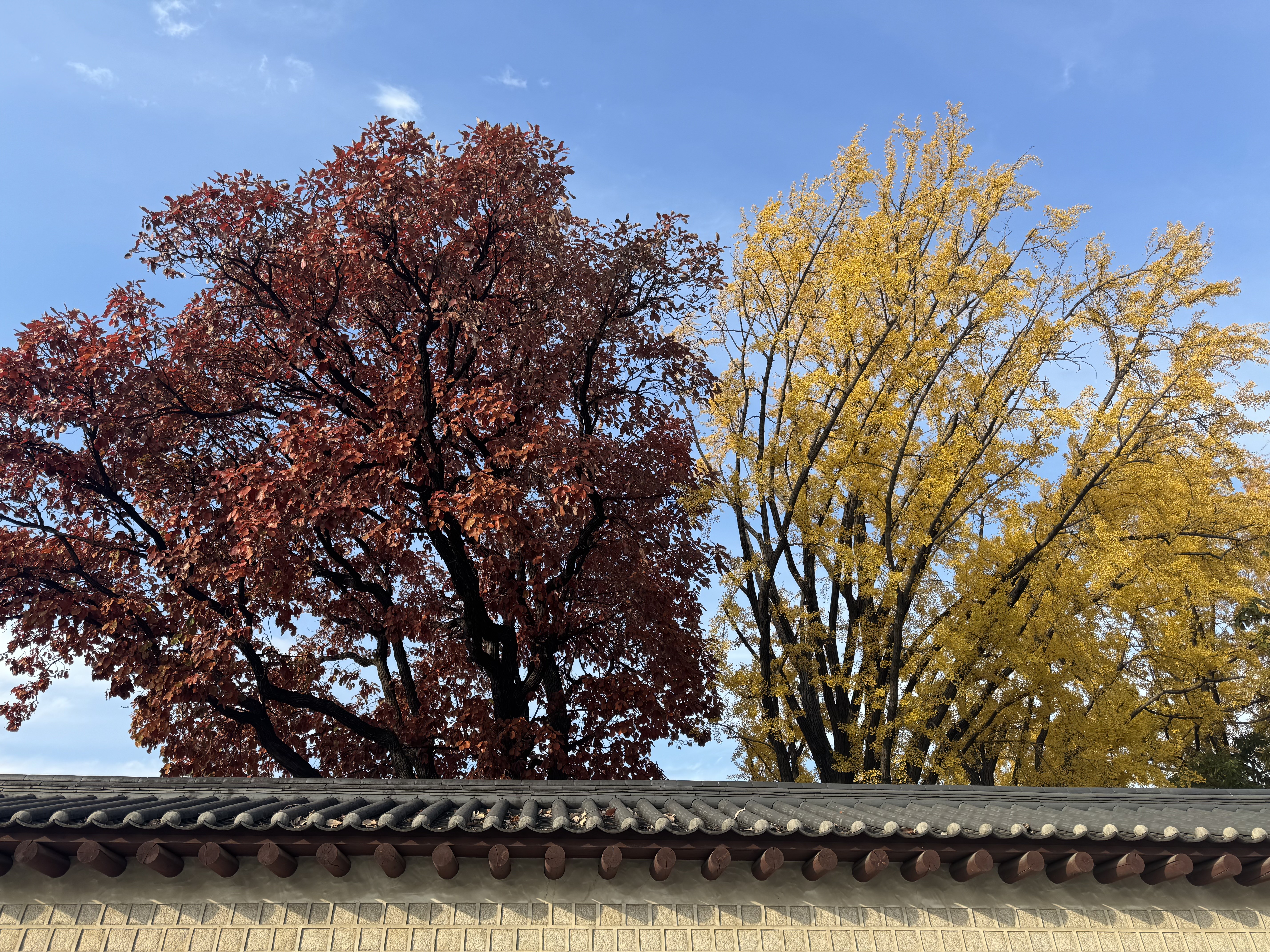 [잡담] 요즘 왜 다들 서촌서촌 거리는지 이해 완........ | 인스티즈