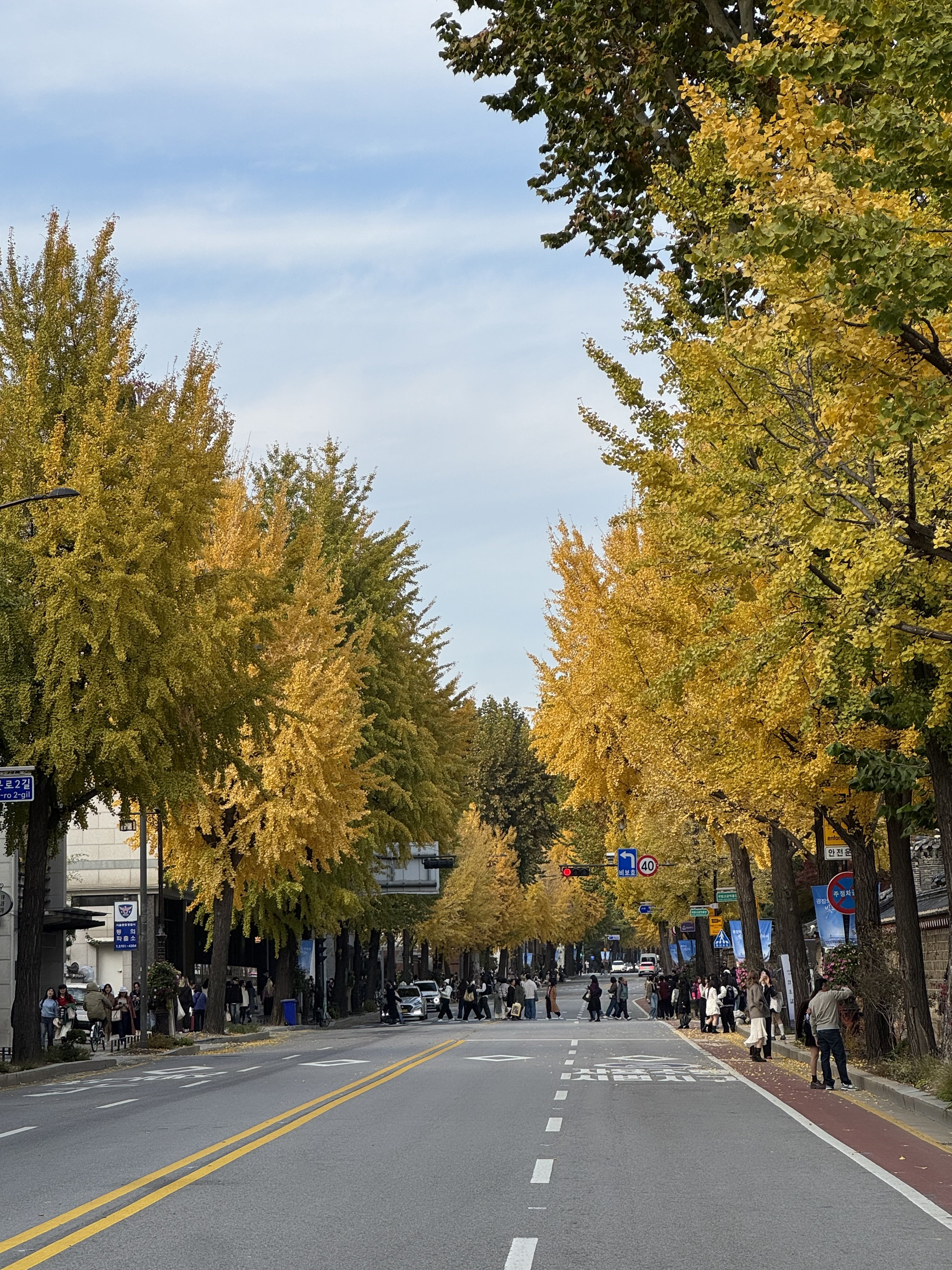 [잡담] 요즘 왜 다들 서촌서촌 거리는지 이해 완........ | 인스티즈