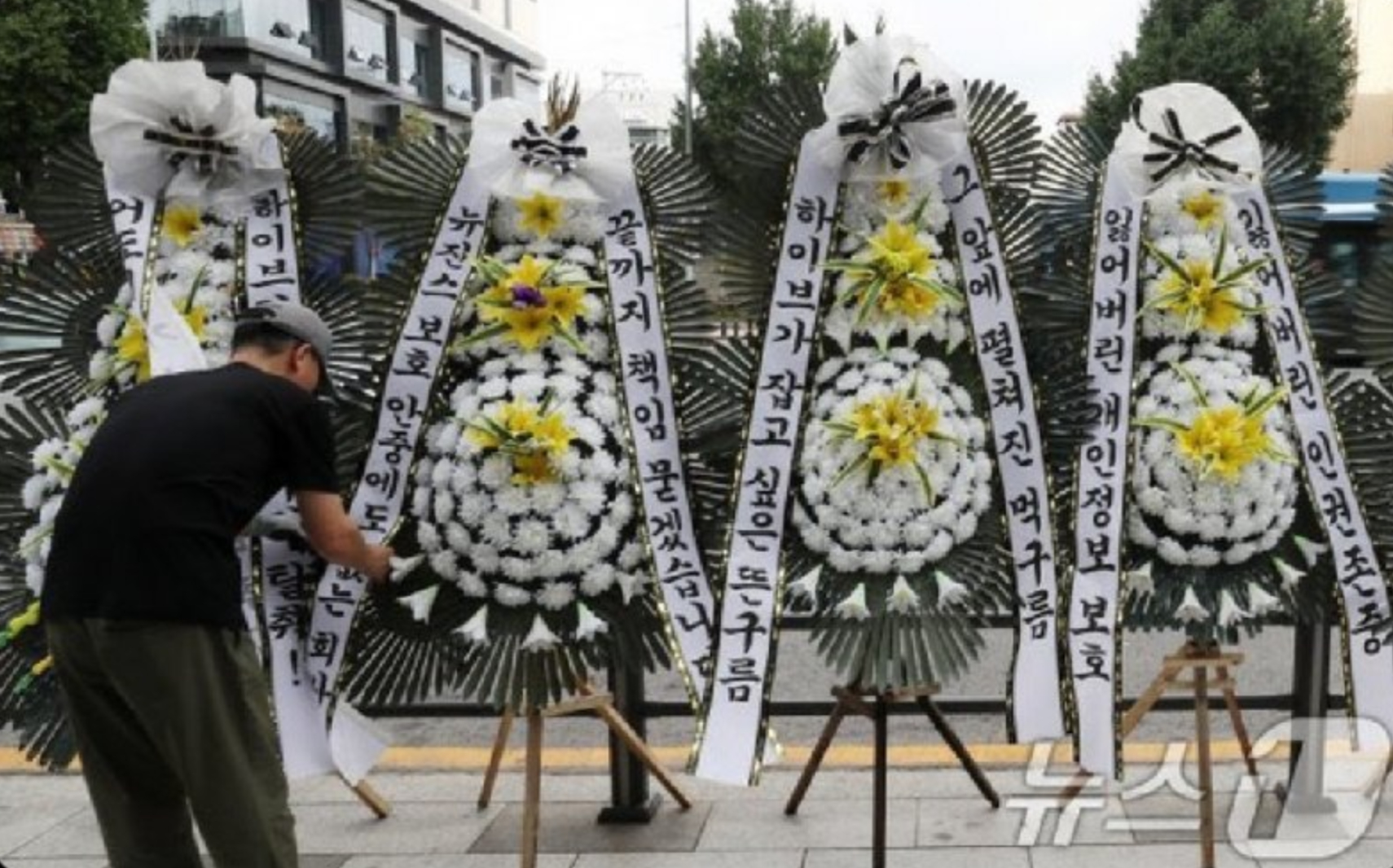 [마플] 뉴진스 싸패토끼단 때문에라도 돌아오지 않길 바랬음 | 인스티즈
