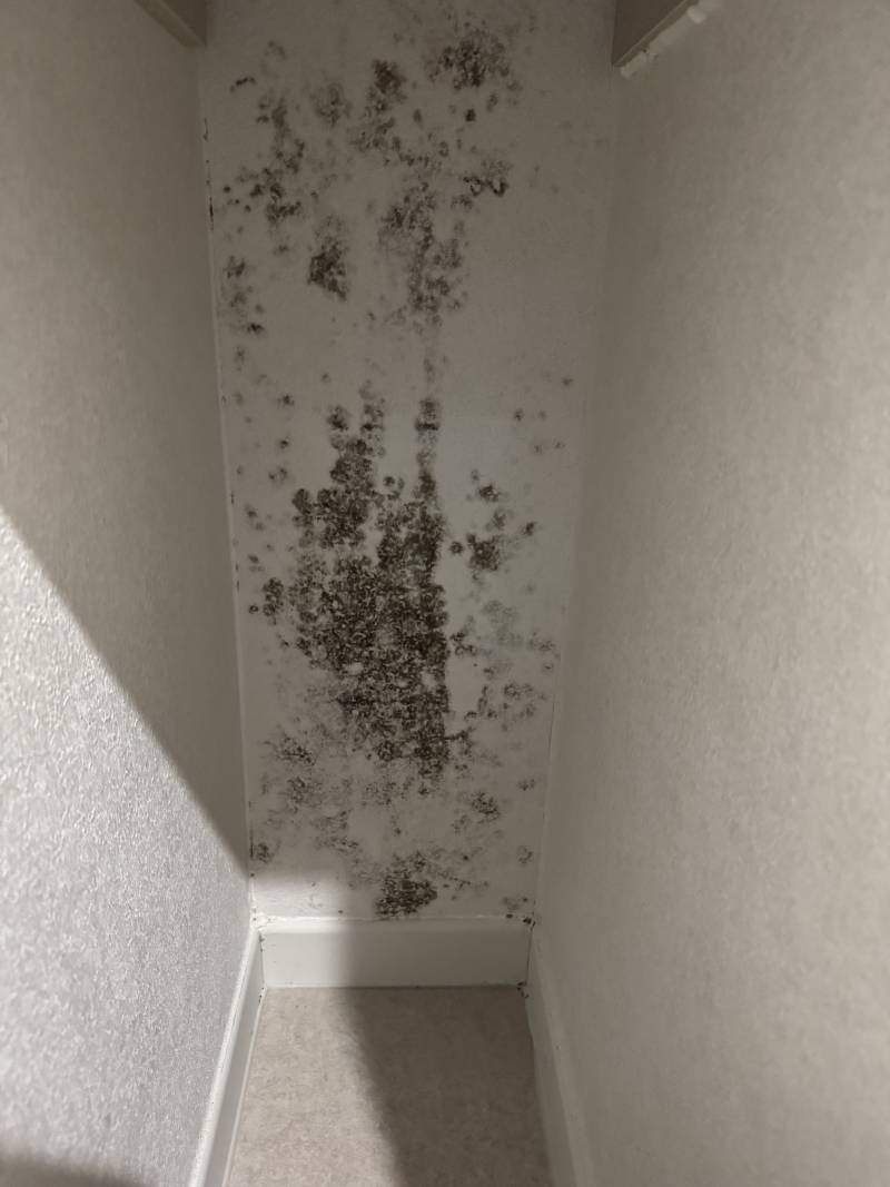 [잡담] 리모델링하고 입주한지 1달 반 됐는데 곰팡이가 폈거든?? | 인스티즈
