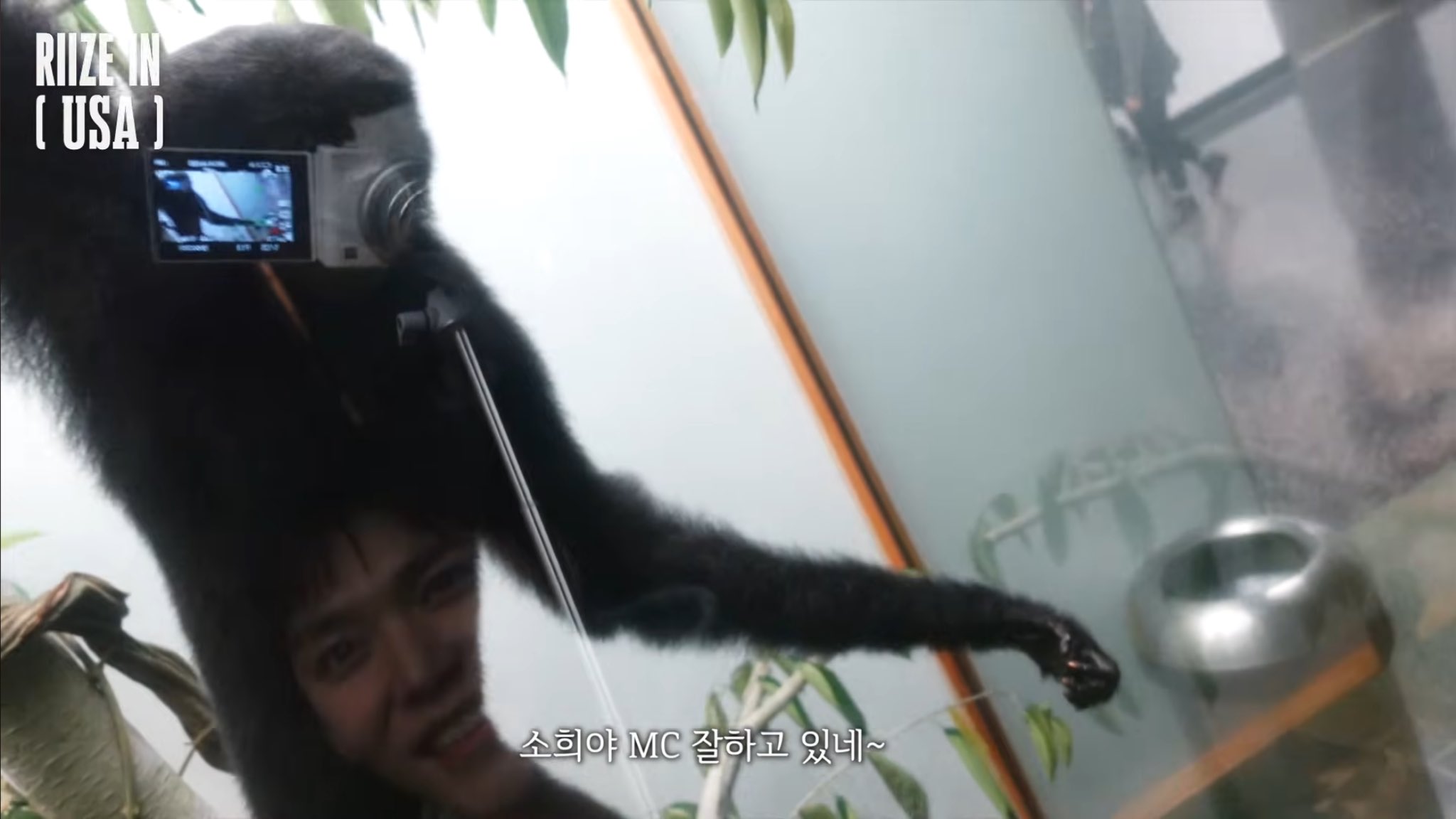 [잡담] 라이즈 자연사박물관 그저 초딩들의 대화의 연속 | 인스티즈