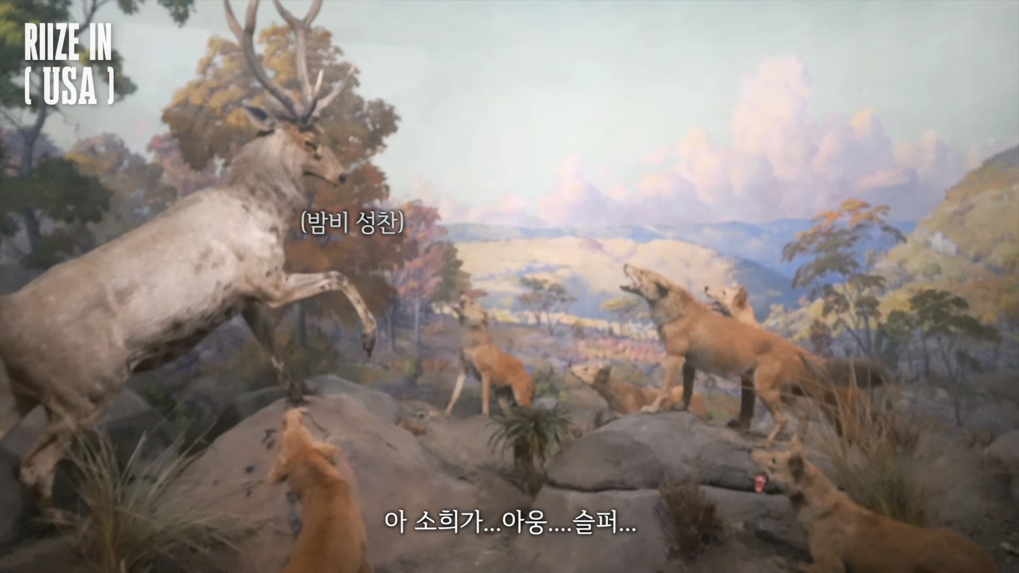 [잡담] 라이즈 자연사박물관 그저 초딩들의 대화의 연속 | 인스티즈