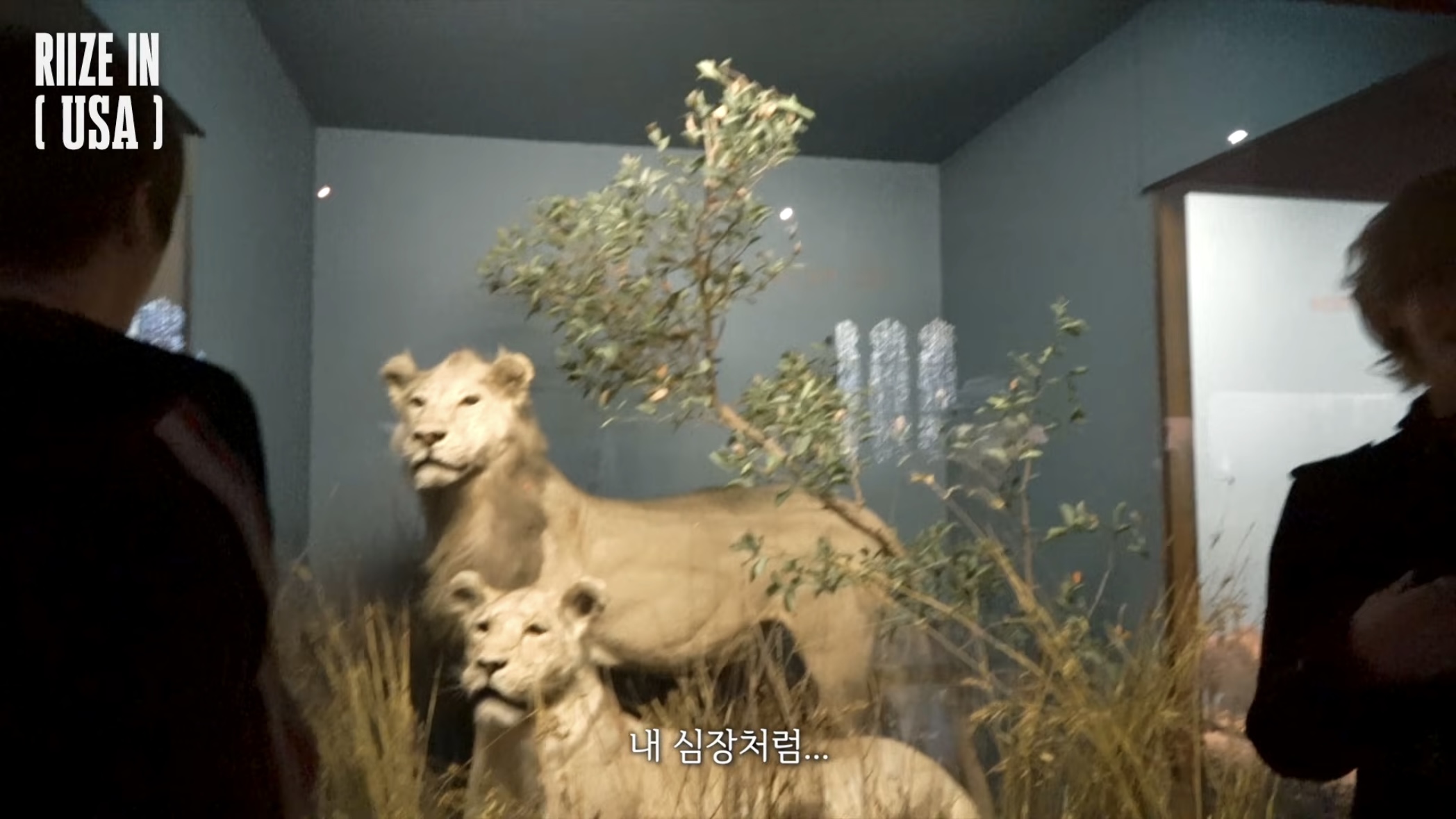 [잡담] 라이즈 자연사박물관 그저 초딩들의 대화의 연속 | 인스티즈