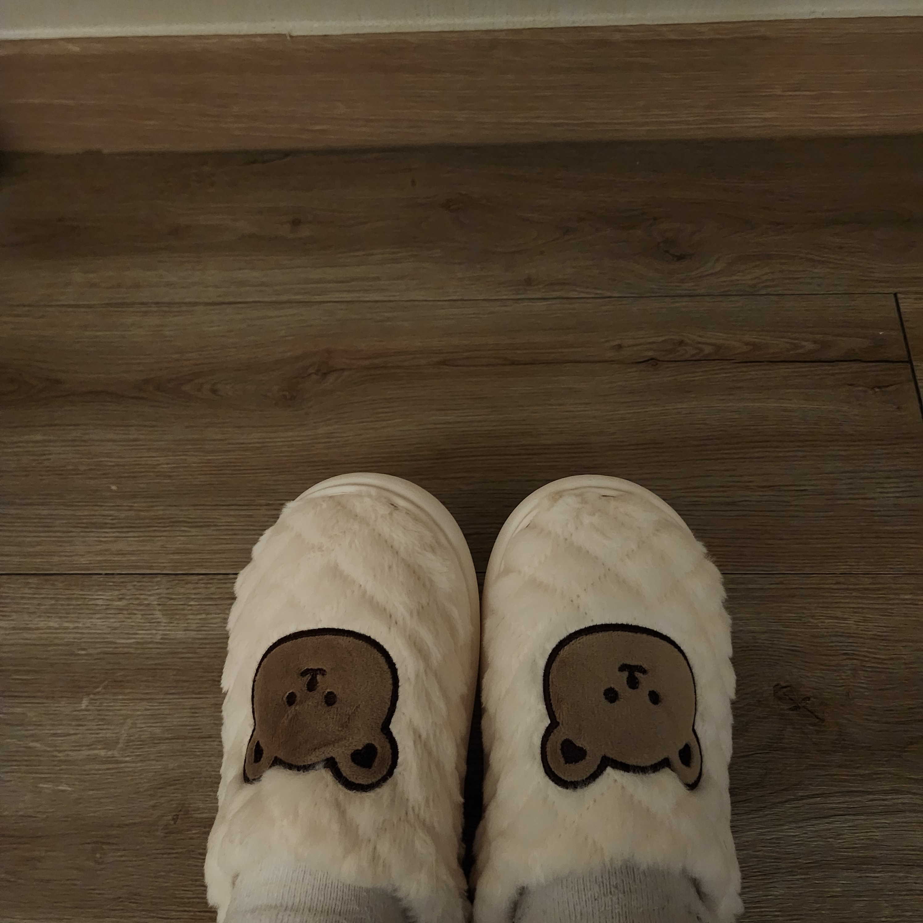 [잡담] 발 시려서 실내화 털실내화로 갈아신었다 | 인스티즈