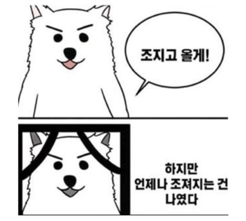 [잡담] 뒤늦은 수능 후기 | 인스티즈