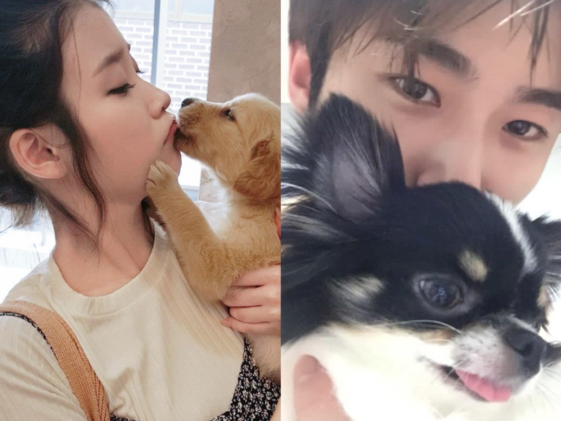 [잡담] 대군부인) 🐶🐶쀼 | 인스티즈