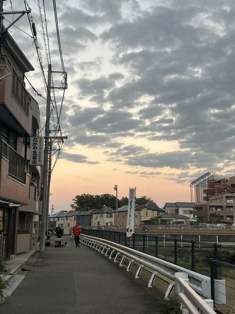 [잡담] 일본 외곽지로 이사했는데 동네 너무 맘에 들어 | 인스티즈