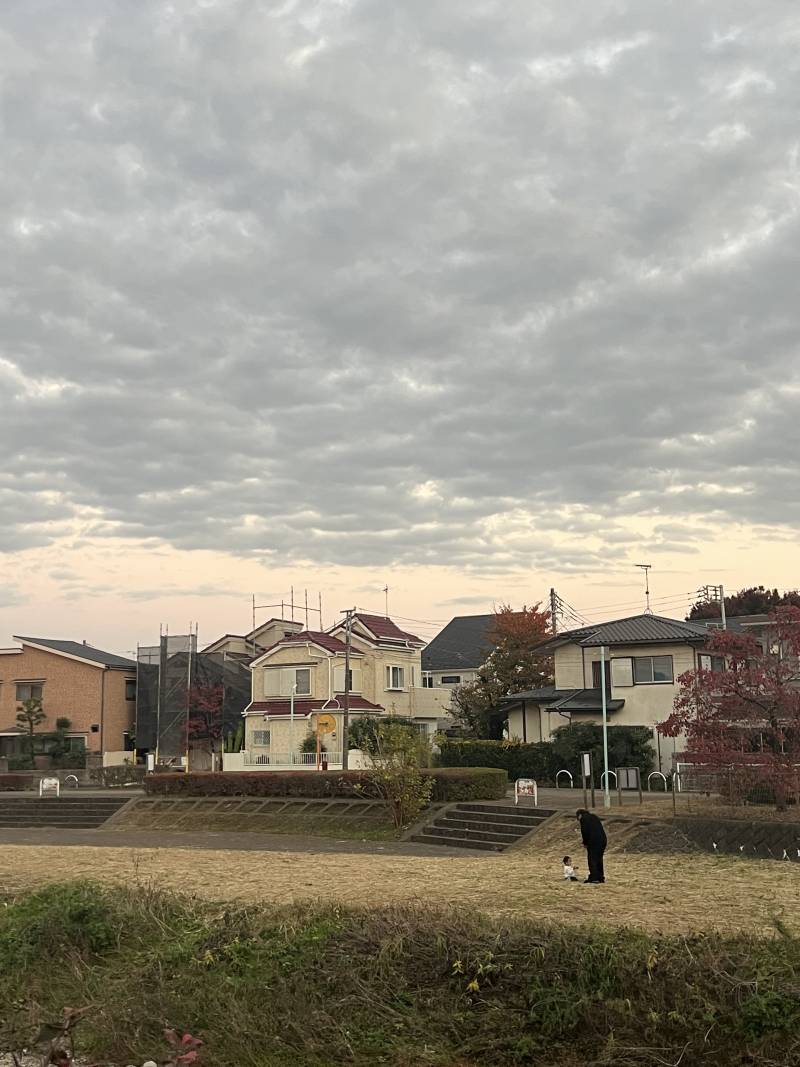 [잡담] 일본 외곽지로 이사했는데 동네 너무 맘에 들어 | 인스티즈