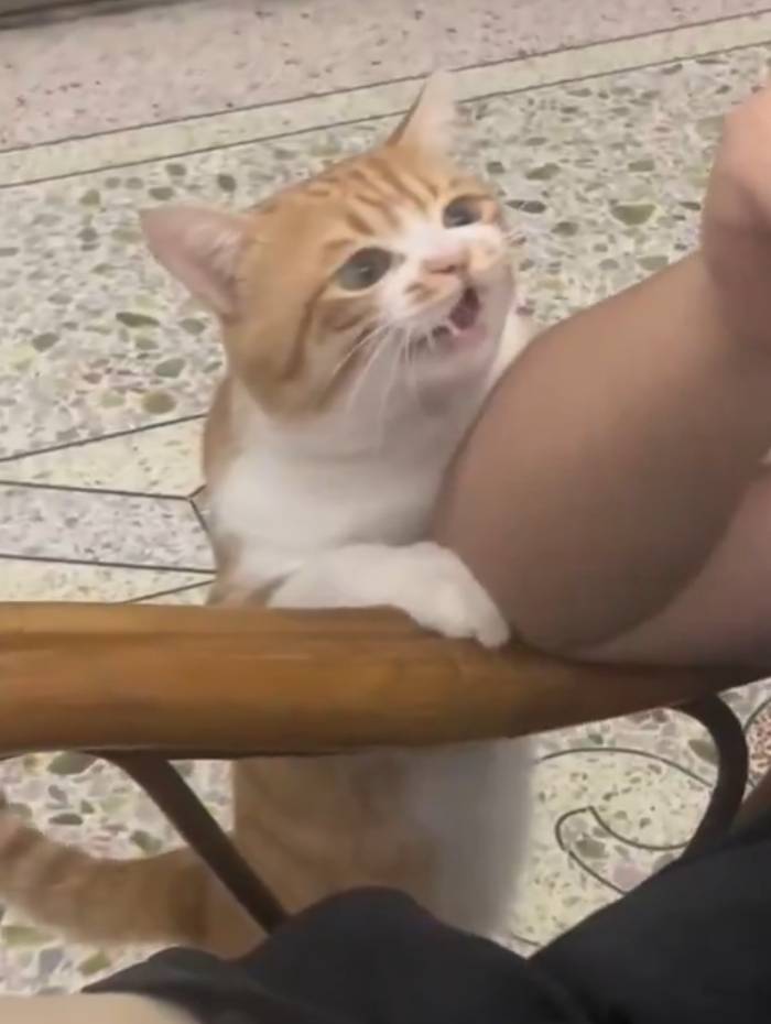 [잡담] 와 얘 중안부 개짧음 | 인스티즈