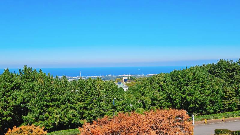 [잡담] 우리 학교 날씨 좋으면 바다 보인다? | 인스티즈