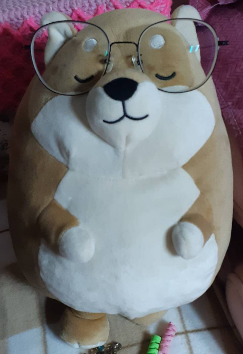 [잡담] 내 안경 받침대가 되어버린 인형 | 인스티즈