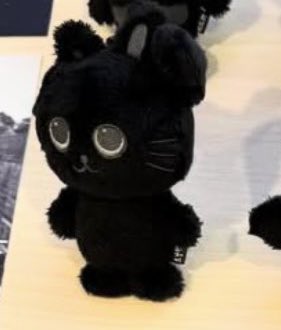 [잡담] 라이즈 검정인형 두버전인가봄 | 인스티즈