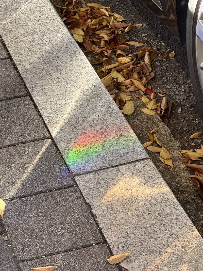 [잡담] 바닥에 비친 무지개 보고 갈 사람🌈 | 인스티즈