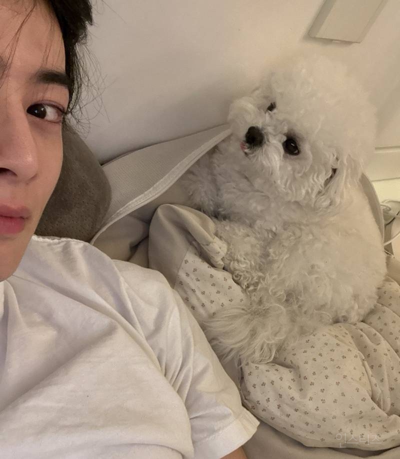 차은우 강쥐 동동이랑 컨포찍음.jpg | 인스티즈