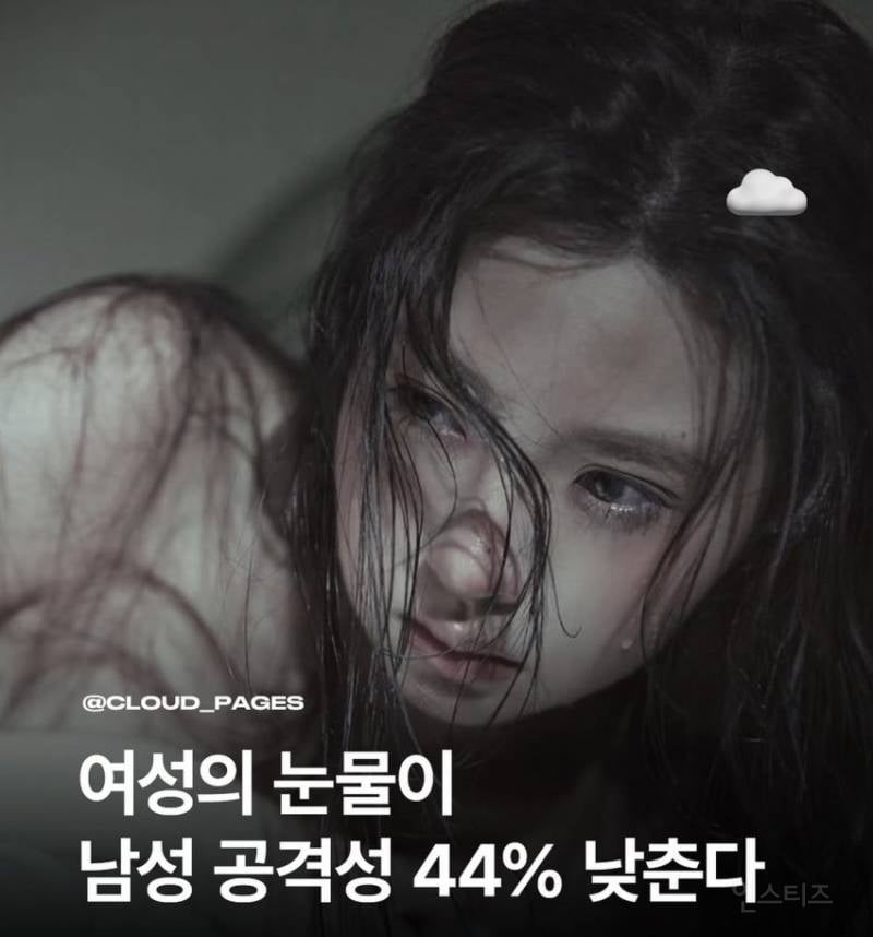 "여성의 눈물"이 남성의 공격성 44%를 낮춘다 | 인스티즈