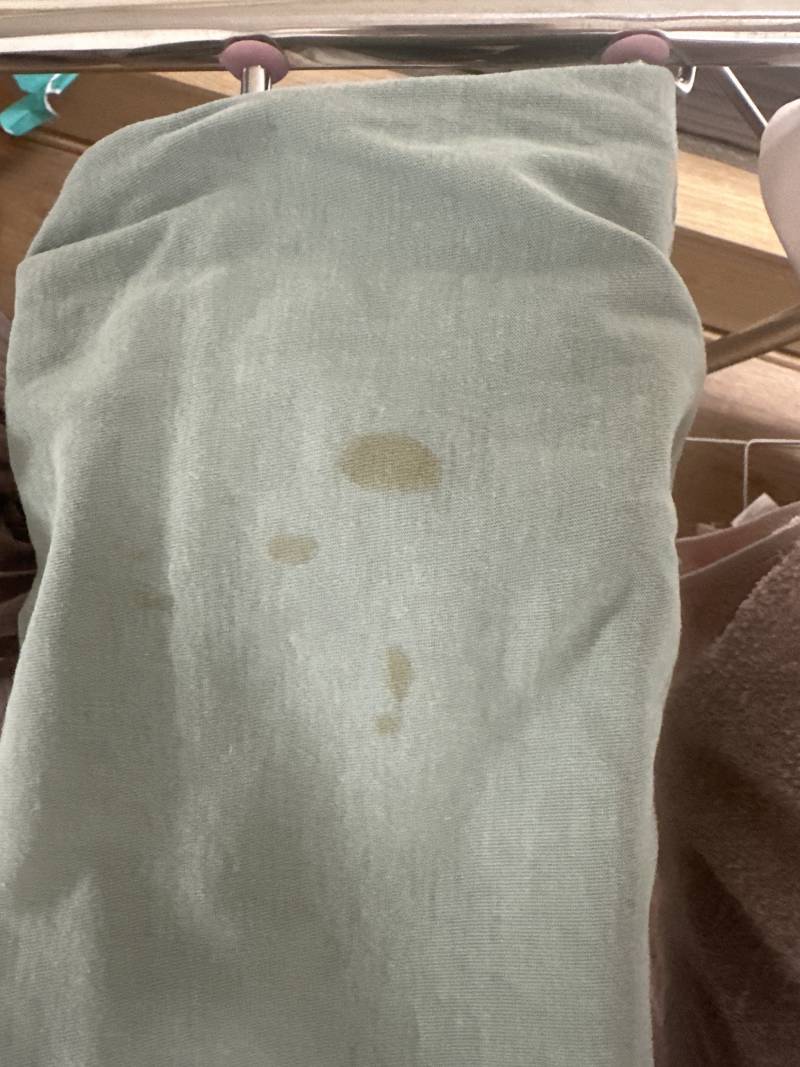 [잡담] 표백이 1도 안되는 … | 인스티즈