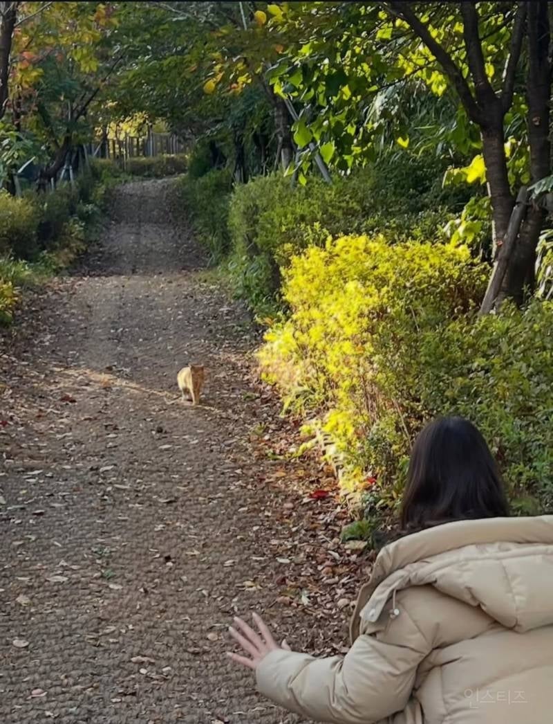 251116 크리스탈 인스타그램 업데이트 | 인스티즈