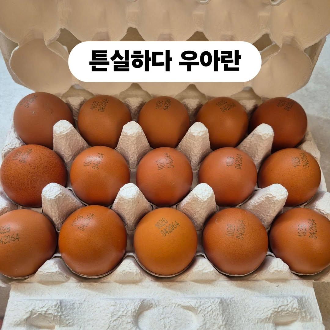 [정보/소식] 실시간 반응 안좋은 이경실 계란사업 | 인스티즈