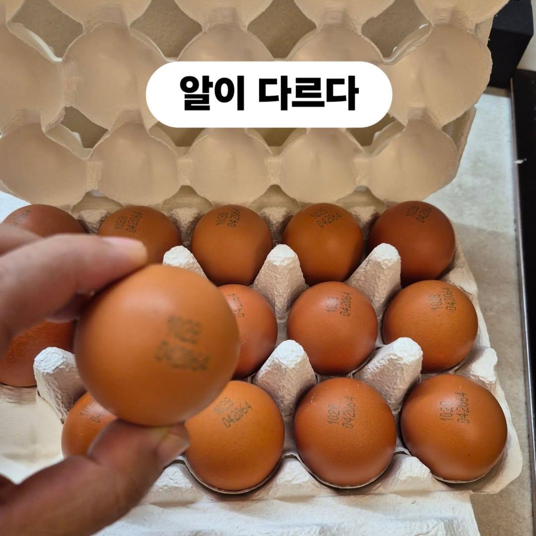 [정보/소식] 실시간 반응 안좋은 이경실 계란사업 | 인스티즈