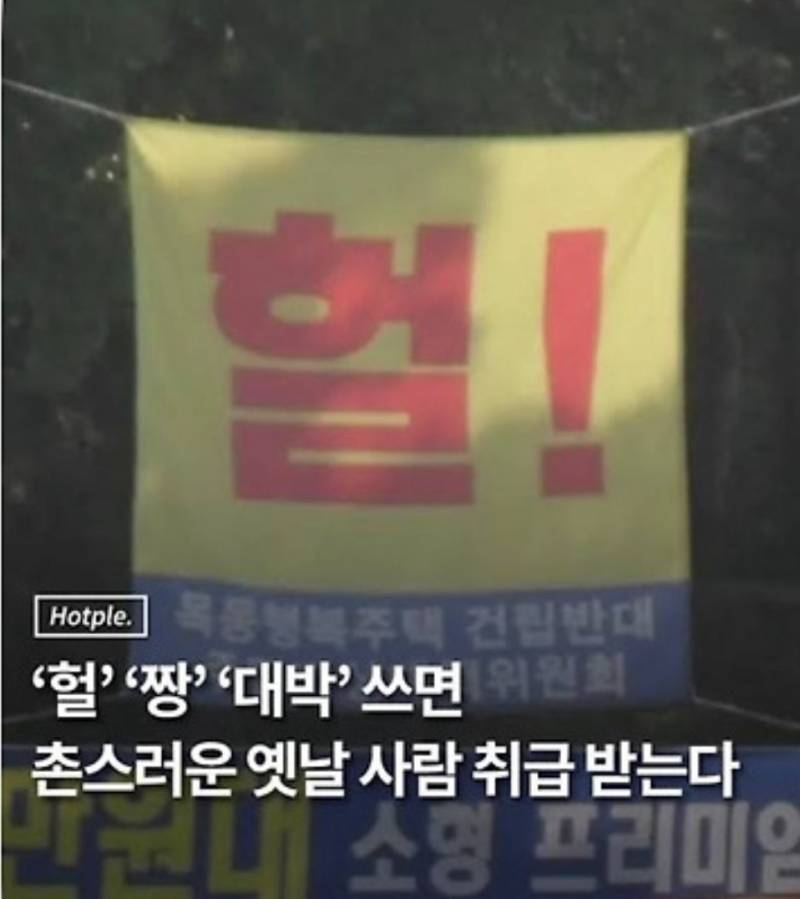 [잡담] 요즘 젊은이들 이단어 안쓴다고? | 인스티즈