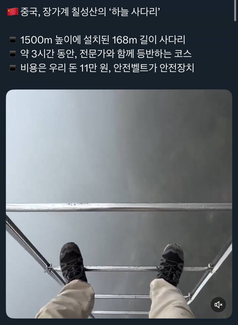 [잡담] 이거 하면 10억준다고 하면 할거임? | 인스티즈