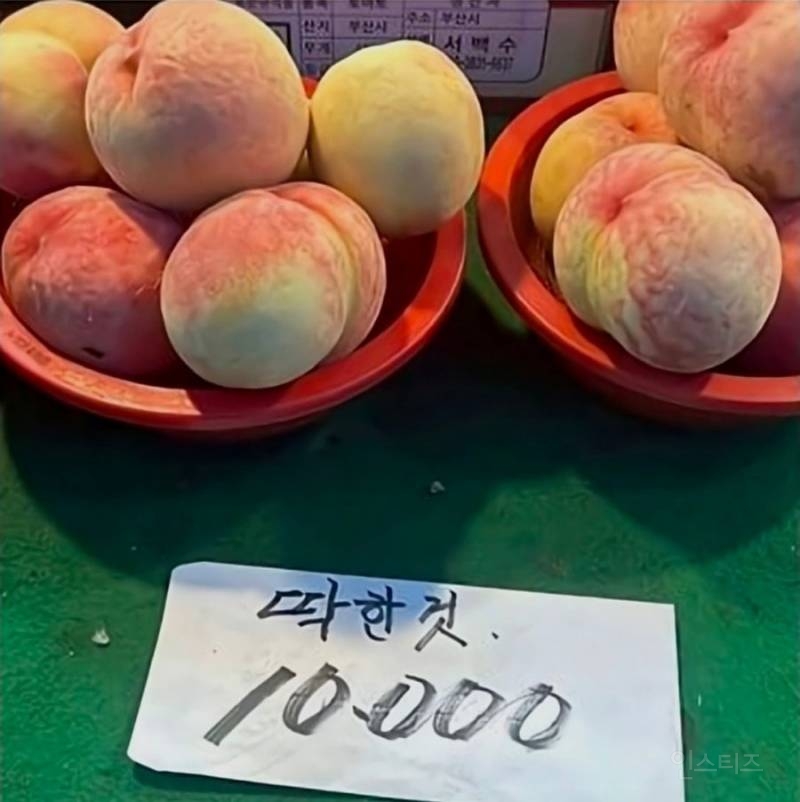시장에서만 볼 수 있는 귀여운 것들 | 인스티즈