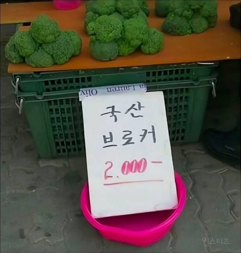 시장에서만 볼 수 있는 귀여운 것들 | 인스티즈