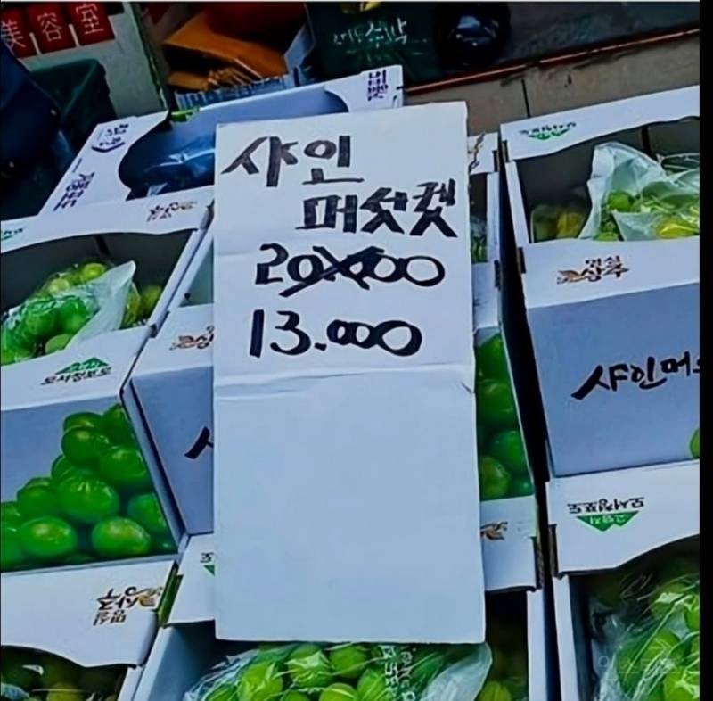 시장에서만 볼 수 있는 귀여운 것들 | 인스티즈