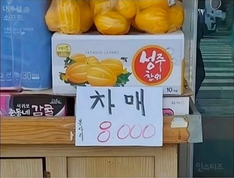시장에서만 볼 수 있는 귀여운 것들 | 인스티즈