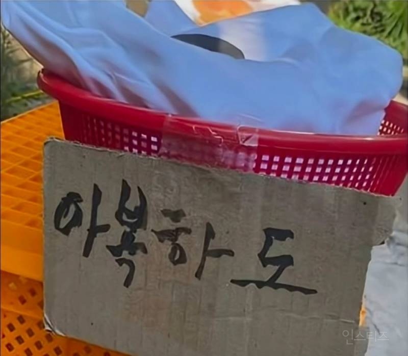 시장에서만 볼 수 있는 귀여운 것들 | 인스티즈