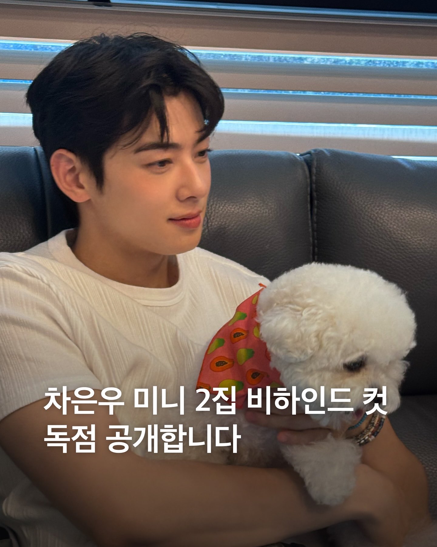 [잡담] 오늘도 눈호강좀 하려고 차은우사진 본다 | 인스티즈