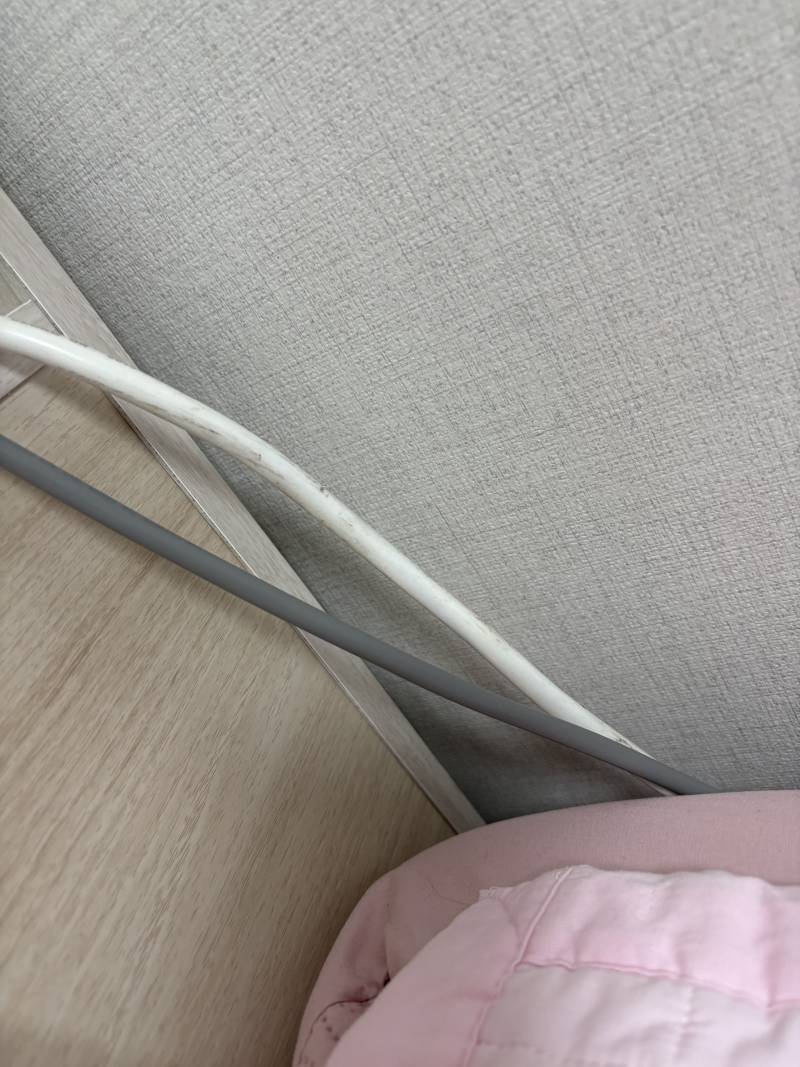[잡담] 이거 새끼바퀴야? 제발알려줘 ㅎㅇㅈㅇ | 인스티즈