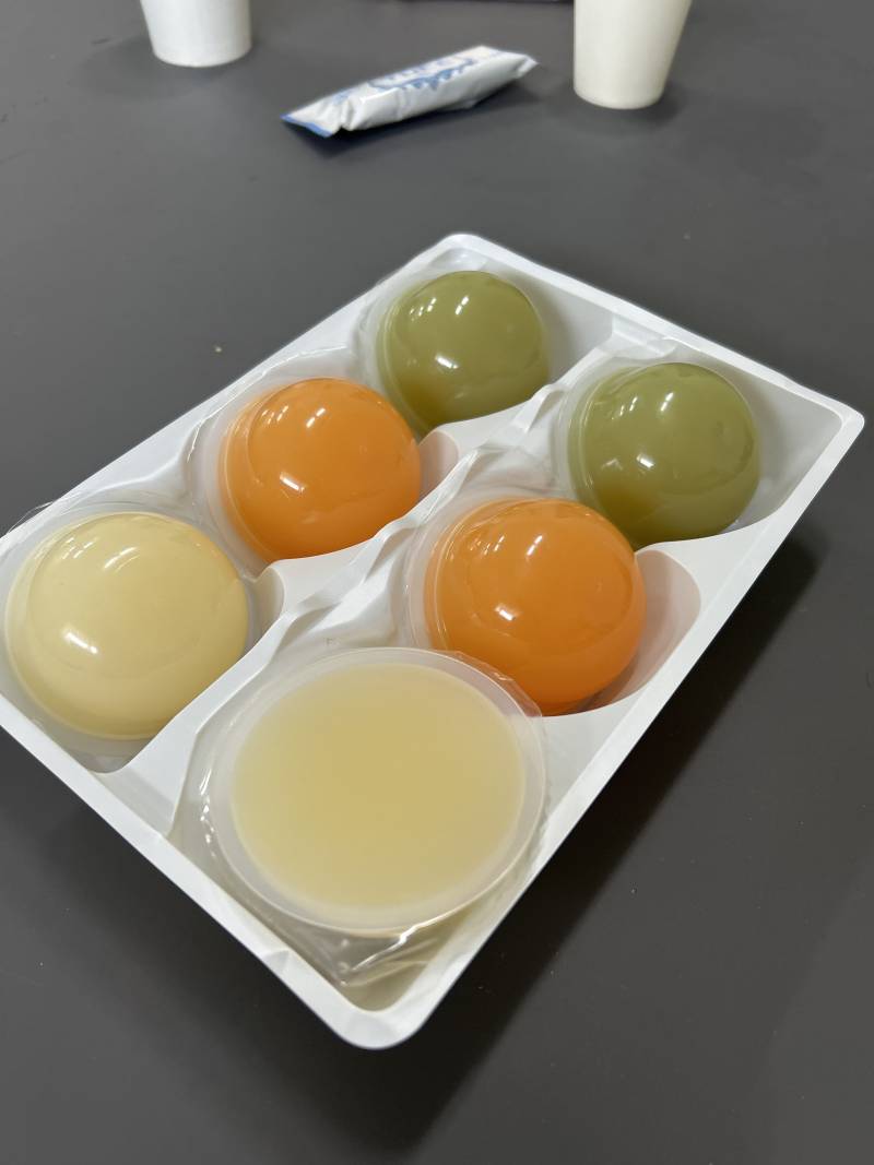 [잡담] 젤리나 푸딩 잘 아는 익인 | 인스티즈
