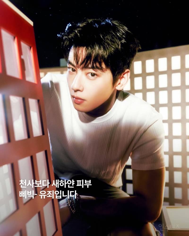 눈빛으로 플러팅 하는 유죄남 차은우.jpg | 인스티즈