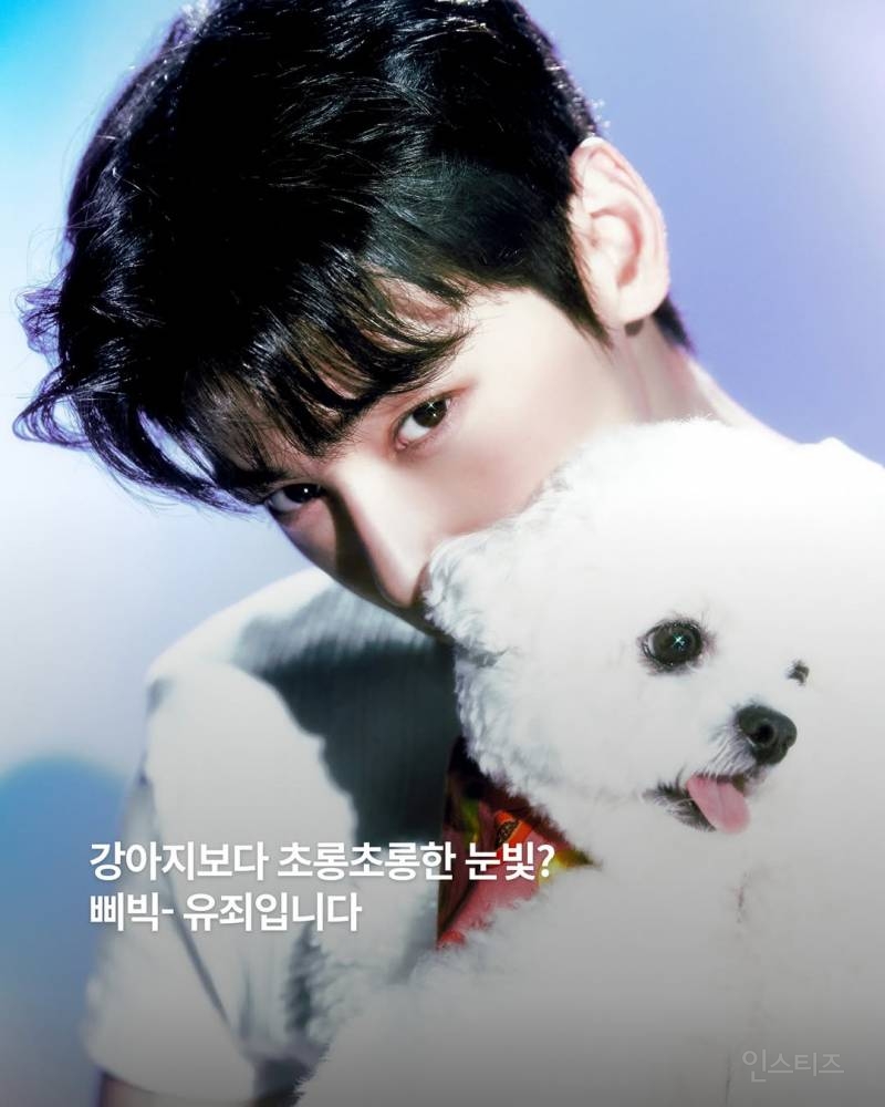 눈빛으로 플러팅 하는 유죄남 차은우.jpg | 인스티즈