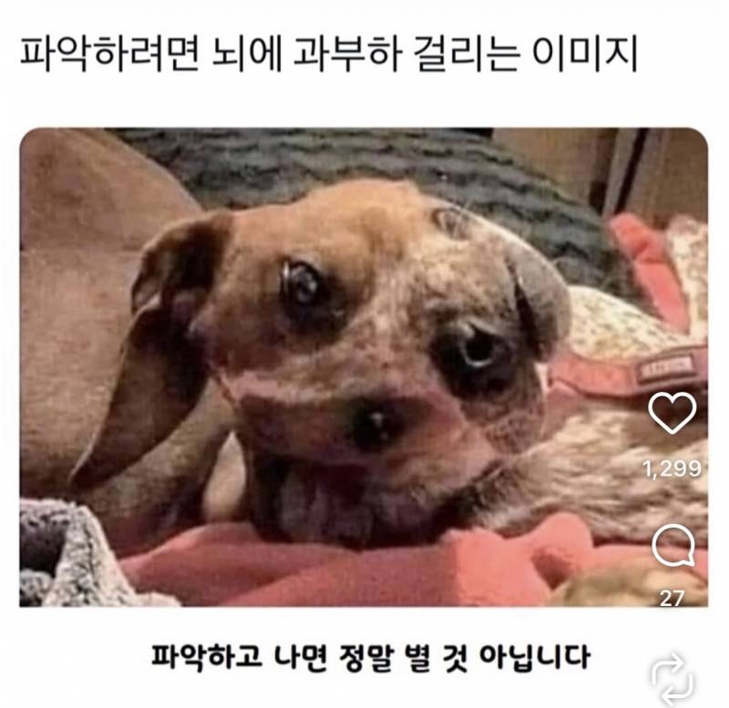[잡담] 이거 뭐야?? | 인스티즈