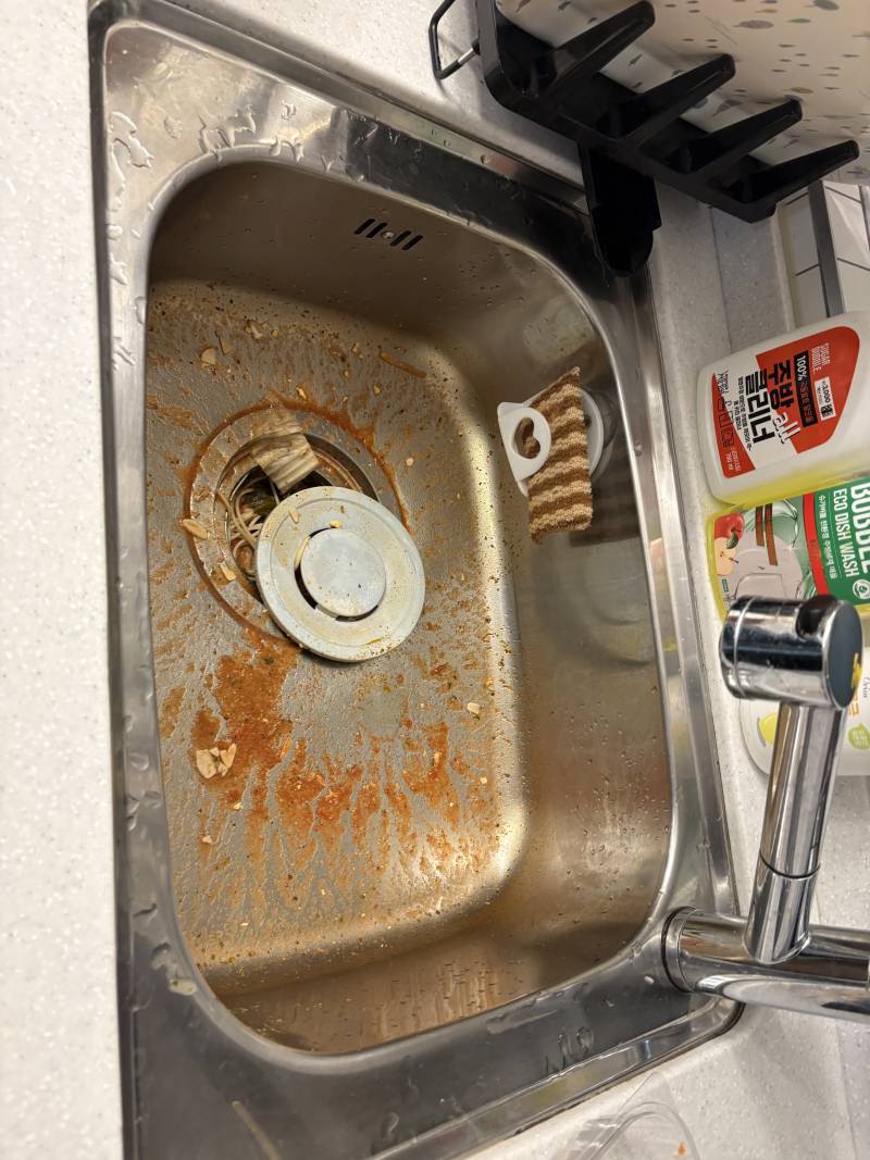 [잡담] (비위 안좋은사람은 패스) 공동주방 싱크대 봐줄사람 | 인스티즈