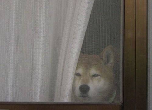 [잡담] 나이를 먹는다는 건.... | 인스티즈