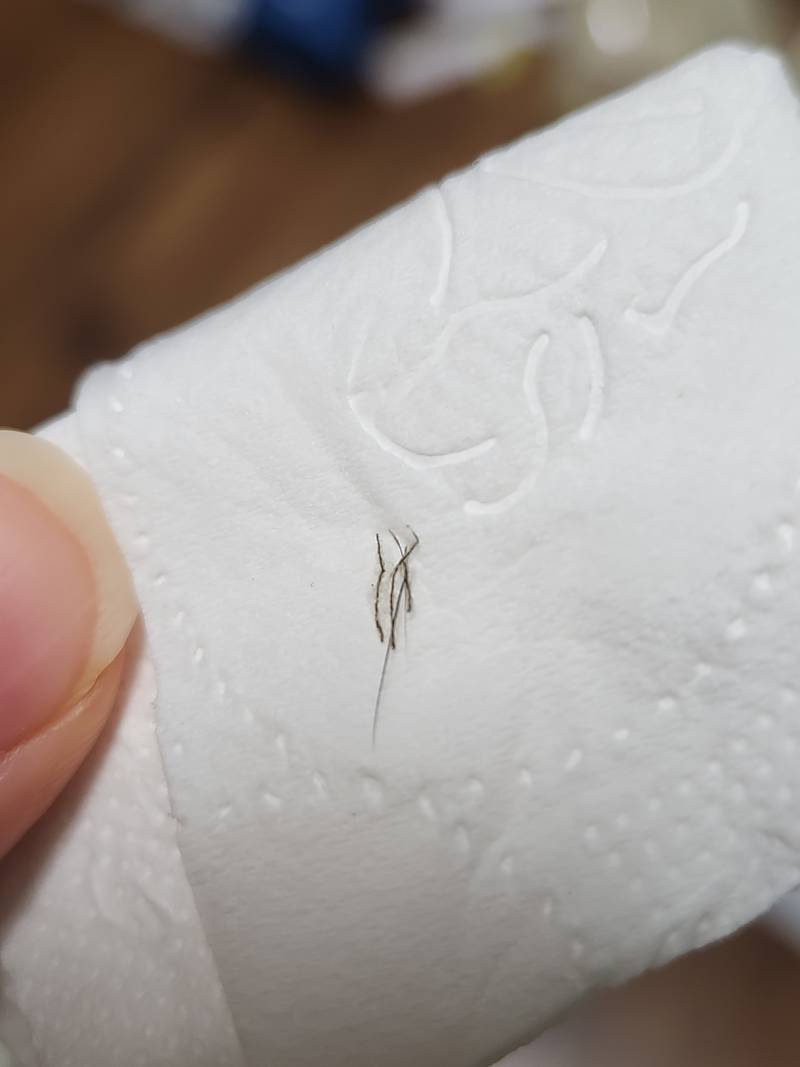 [잡담] 자연눈썹 문신 잘아는익 있니... | 인스티즈