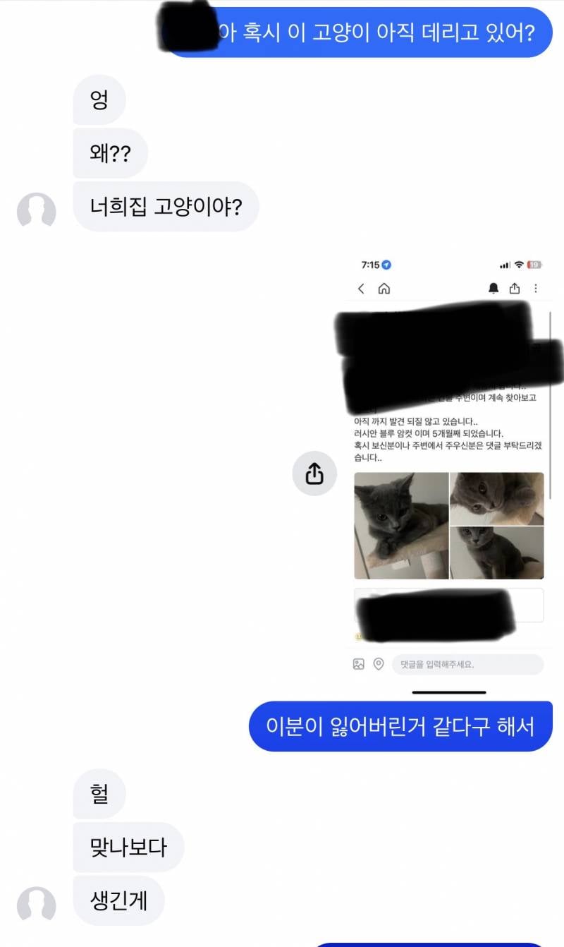 [잡담] ㄹㅇ옛날에 당근으로 누가 잃어버린 고양이 내가 찾아줌 | 인스티즈
