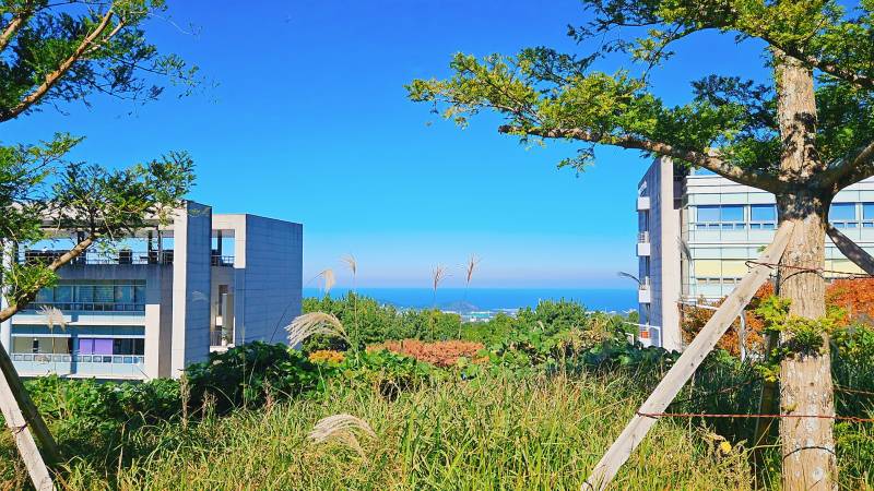 [잡담] 우리 학교 날씨 좋으면 바다 보인다? | 인스티즈
