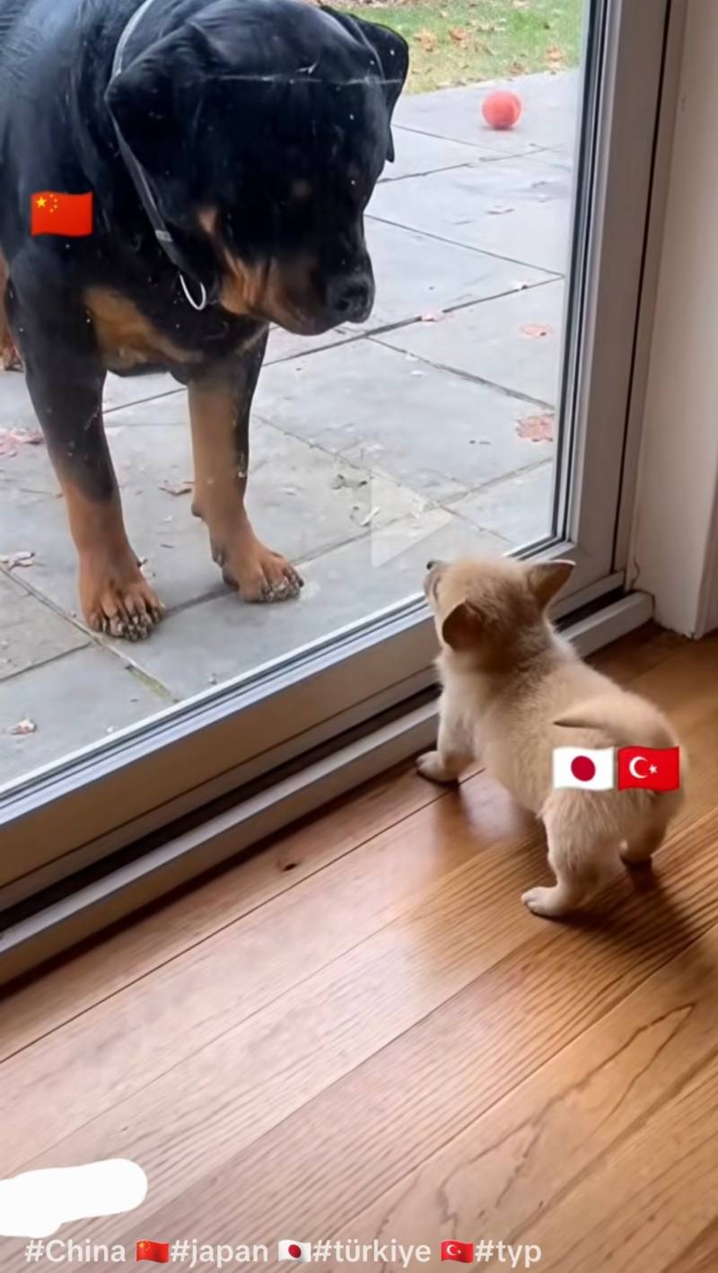 [잡담] 튀르키예랑 중국이랑 사이가 안좋은가 보네 | 인스티즈