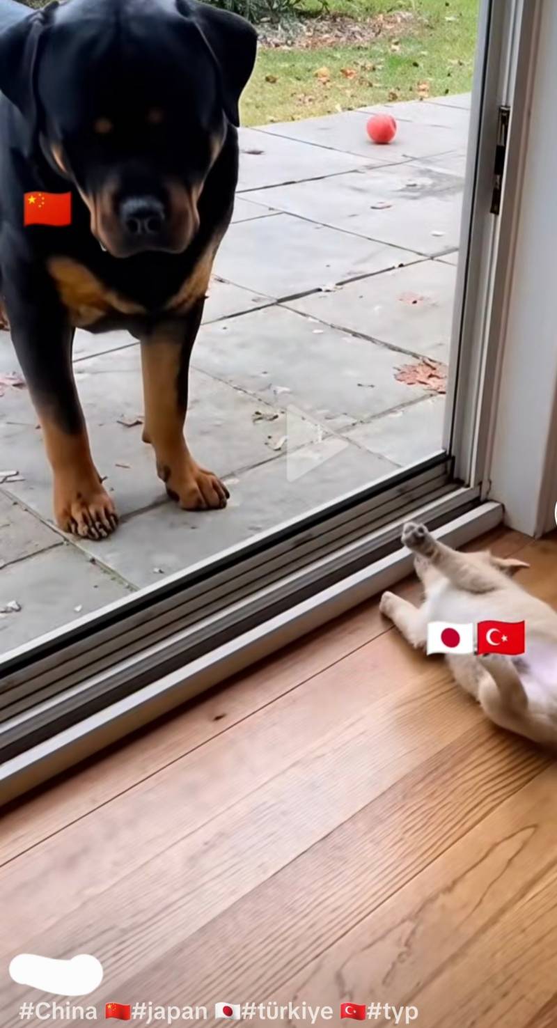 [잡담] 튀르키예랑 중국이랑 사이가 안좋은가 보네 | 인스티즈