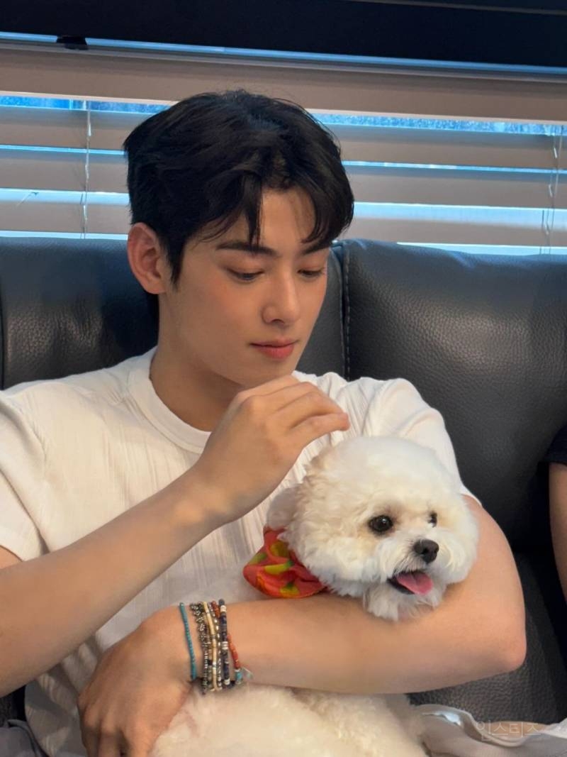 아이즈 매거진이 풀어준 차은우 선물 짤.jpg | 인스티즈