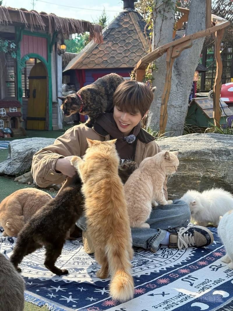 강다니엘 인스타그램 업데이트 | 인스티즈