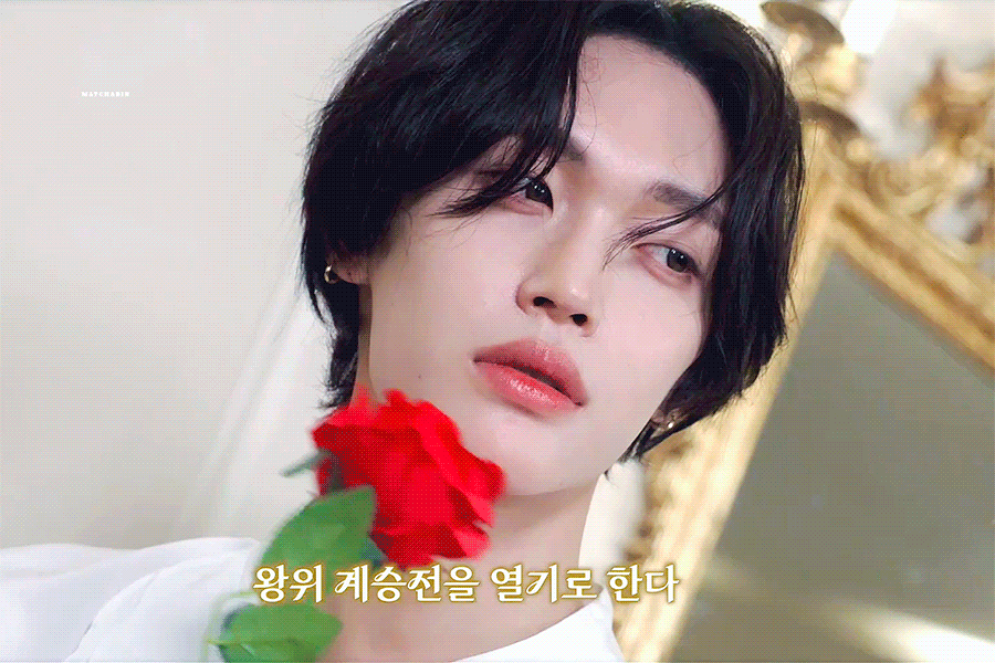 [잡담] 원빈이랑 장미 | 인스티즈