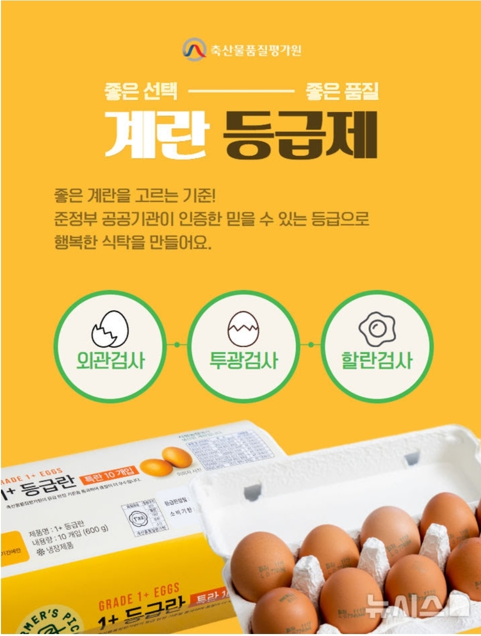 [정리글] 또또 억울하게 마녀사냥 당한 이경실 | 인스티즈