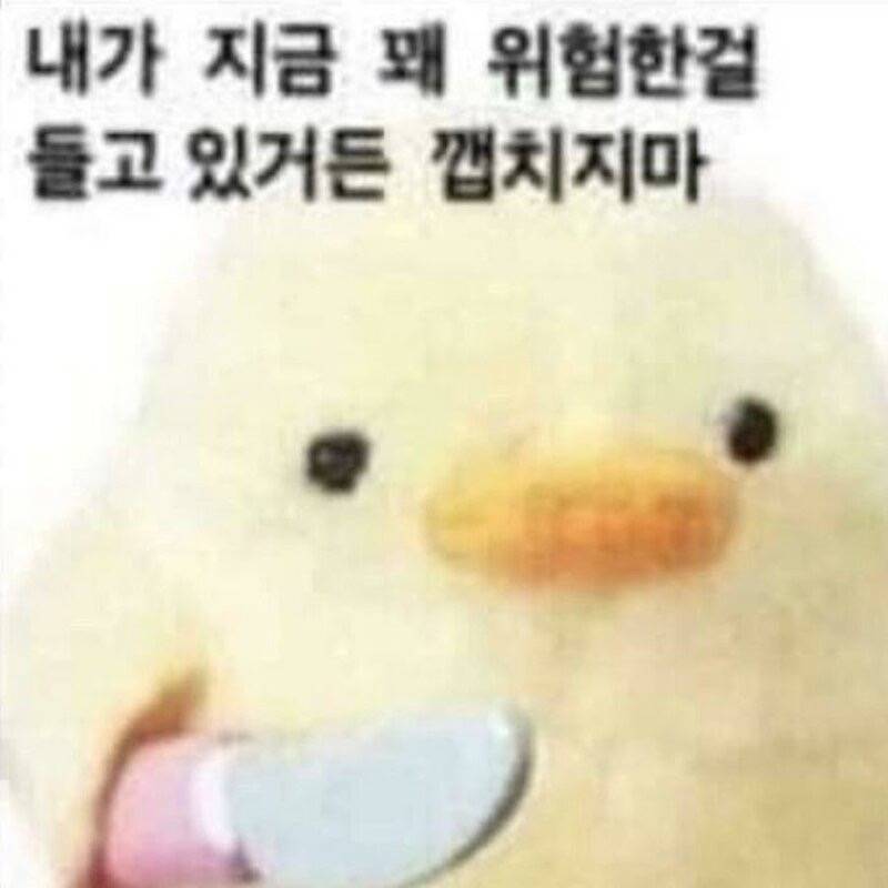 [잡담] 한화야 한시간 간격으로 오피셜 다 올려라 | 인스티즈