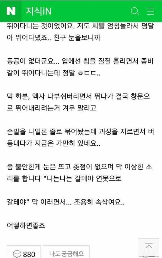 [잡담] 갈테야 밈 이거임 | 인스티즈